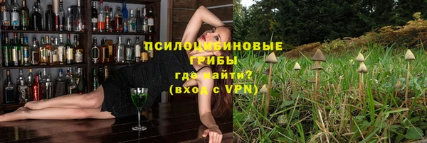 соль ск Надым