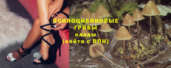 соль ск Надым