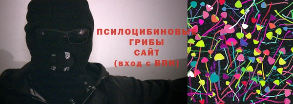 соль ск Надым